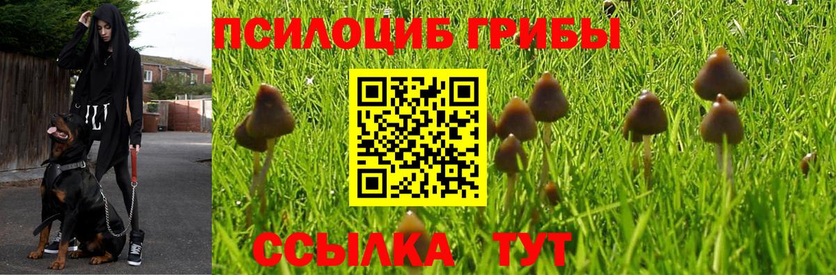 Астрахань  Псилоцибиновые грибы Magic Shrooms  Вход с VPN 